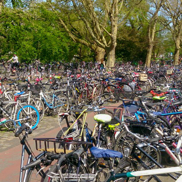 Fahrräder in Münster (Fotograf: Toralf Eichhorn) Fahrräder in Münster (Fotograf: Toralf Eichhorn)